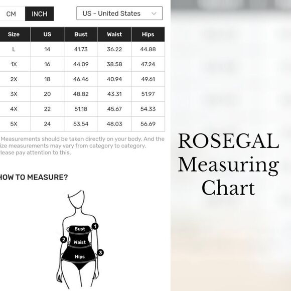 ROSEGAL Ombre Lattice Floral Embroidered Applique Two- Piece Plus Size  Swimsuit - Picture 15 of 16